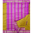 9 yards Honey / Musturd with grand border  Silk Madisar